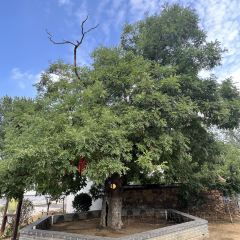 产芝渔家 User Photo