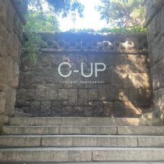 C-UP User Photo