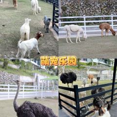 那云温泉度假村悬崖上的天空之城·云町酒酿啤酒吧 User Photo