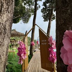 Cafe phuket view point User Photo