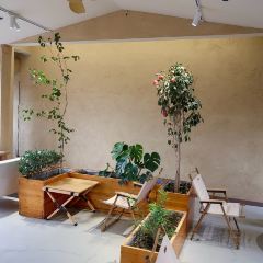 上席擂茶 User Photo