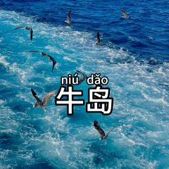 Ttittippangppang 여행 사진