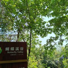 普洱小熊猫庄园·天碧餐厅 User Photo