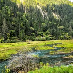 LIU LAO YAO MAO NIU ROU SHANG GUO User Photo