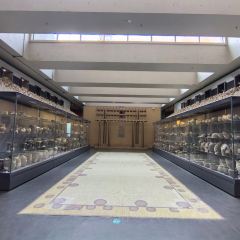 老雒阳面馆·水席(老君山店) User Photo