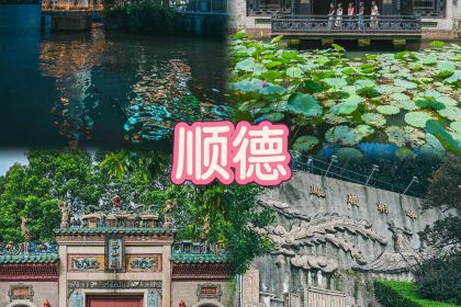 DA RUN LONG YAN ZHA ZHU ROU