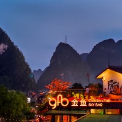 Golden Fish Sky Bar User Photo