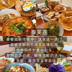 泰芙莲 User Photo