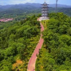 黃栗樹生態美食土菜館張用戶圖片
