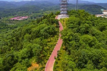 黃栗樹生態美食土菜館