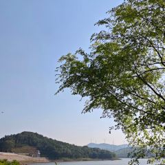 黃栗樹生態美食土菜館張用戶圖片