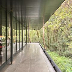 PURPLE MOUNTAIN GARDEN 여행 사진