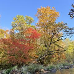 本达人海鲜烧烤(发展店) User Photo