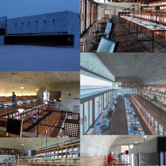 海星辰海鲜大排档(黄金海岸店) User Photo