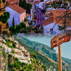 中国柠檬小镇 User Photo