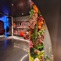 黛外滩(外滩店) User Photo