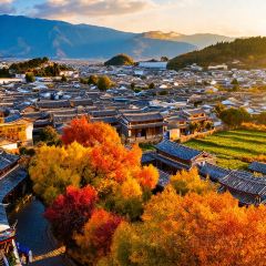 一品凉饭庄·建水人家分店 User Photo