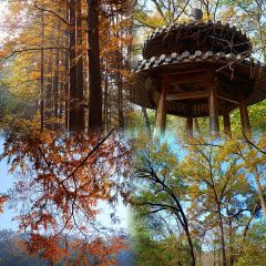 XIAO CAI YUAN User Photo