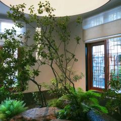 ZAYTON COURTYARD User Photo