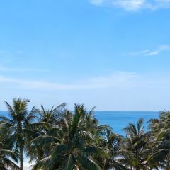 徐福记湛江烤生蚝 User Photo