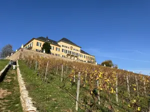 Schlossschaenke auf dem Johannisberg