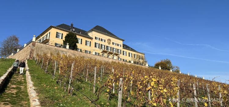 Schlossschaenke auf dem Johannisberg