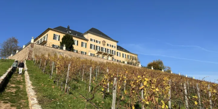 Schlossschaenke auf dem Johannisberg