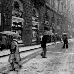 鮮入圍煮張用戶圖片