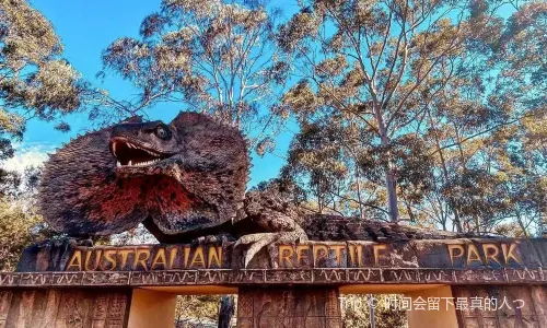 Australian Reptile Park