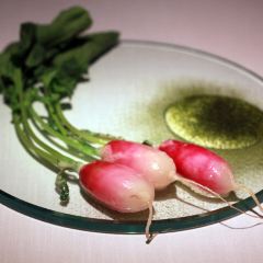 Vollmers張用戶圖片