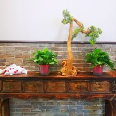 金筷子·宴会城(乐凯大街总店) User Photo