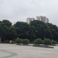 啊一柠檬茶(东源宝晟城店) User Photo