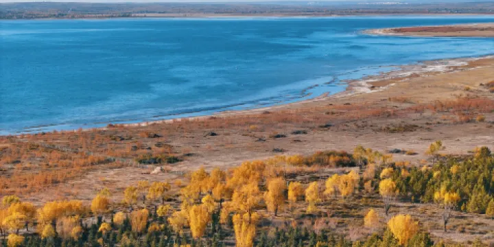老字號紅鹼淖燉魚館