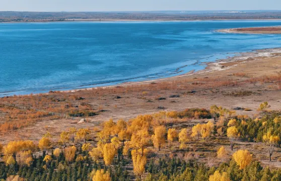 老字號紅鹼淖燉魚館