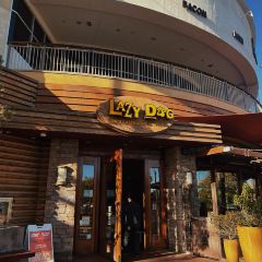 Lazy Dog Restaurant & Bar User Photo
