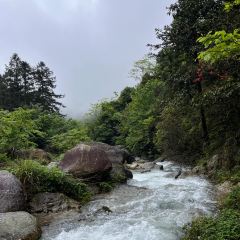狮子口(河洑店) User Photo