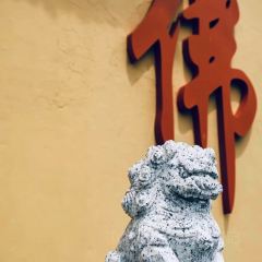 中德冷饮(七台河总店) User Photo