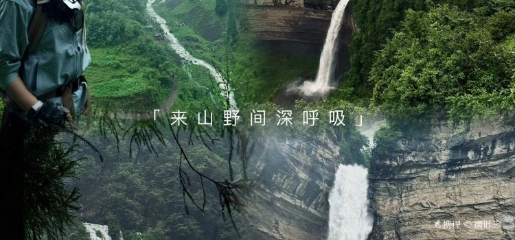 吴二大排档(小十字店)