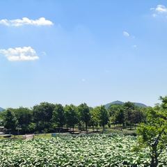 秀山湖畔張用戶圖片