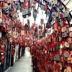 顺昌仁寿灌蛋(七宝老街店) User Photo