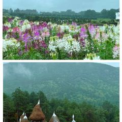 听花谷餐厅 User Photo