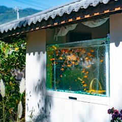 金魚餐廳及酒吧 (Golden Fish Restaurant & Bar)張用戶圖片