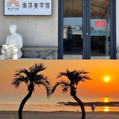 咖啡与树 User Photo