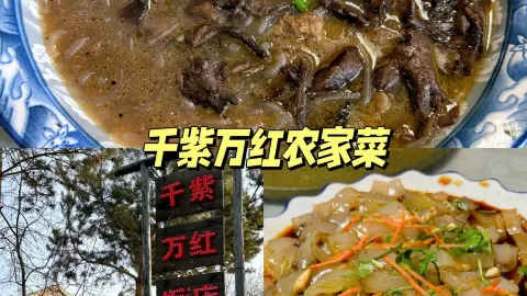 小秋特色烤冷面(鼎峰商业广场店) in Mohe