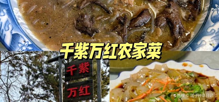 小秋特色烤冷面(鼎峰商业广场店)