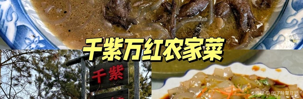 小秋特色烤冷面(鼎峰商业广场店)