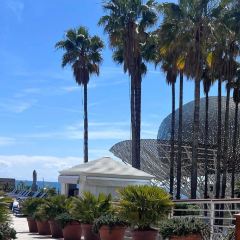 Enoteca Paco Pérez User Photo