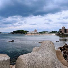海鮮壽司とれとれ市場張用戶圖片