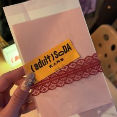 adult SODA大人汽水 여행 사진