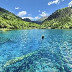 喜马拉雅音乐藏餐吧 User Photo